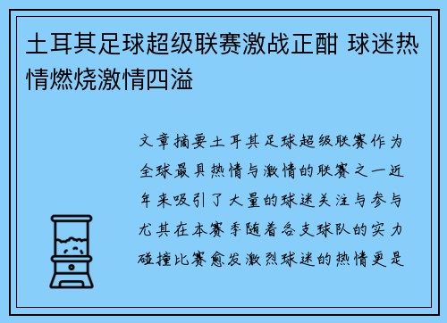 土耳其足球超级联赛激战正酣 球迷热情燃烧激情四溢
